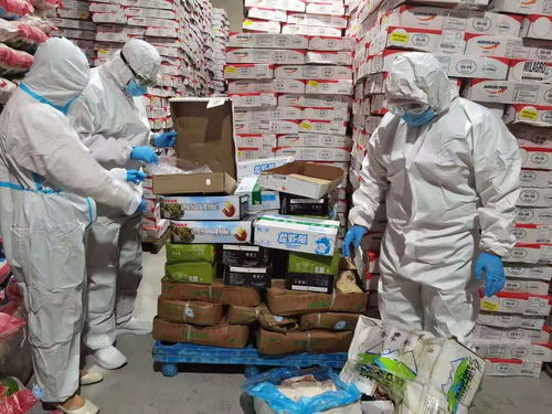 烏蘭察布市場監管局強化進口冷鏈食品與奶制品監管，突擊檢查批發及進出口環節